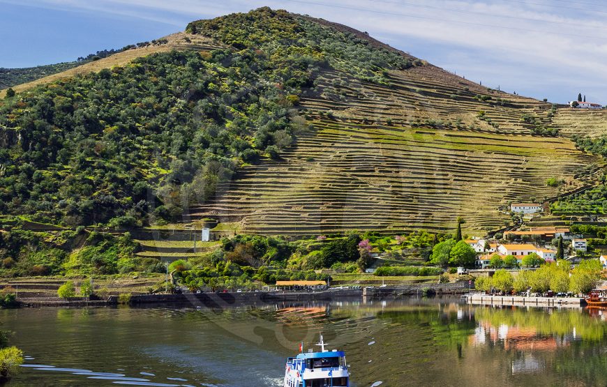 Douro: Wine & Tradition