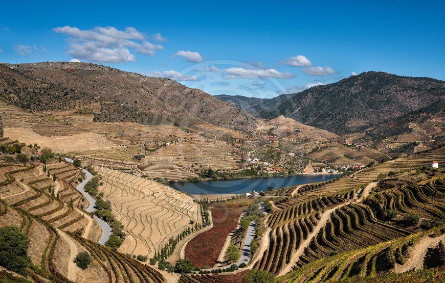 Douro: Wine & Tradition